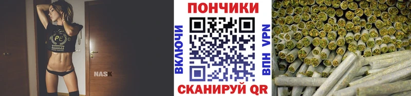 Конопля OG Kush  kraken ССЫЛКА  Бокситогорск 